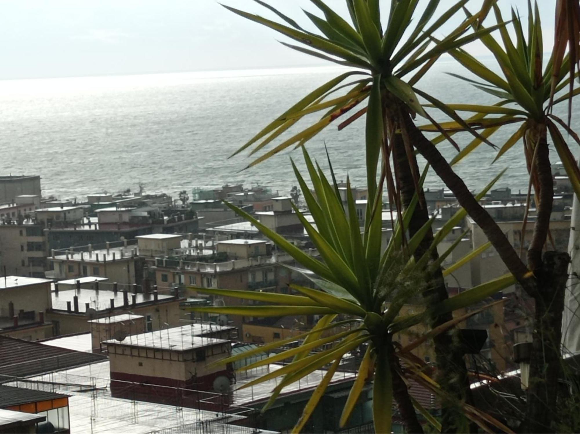 Le Ginestre Bed & Breakfast Salerno Room photo