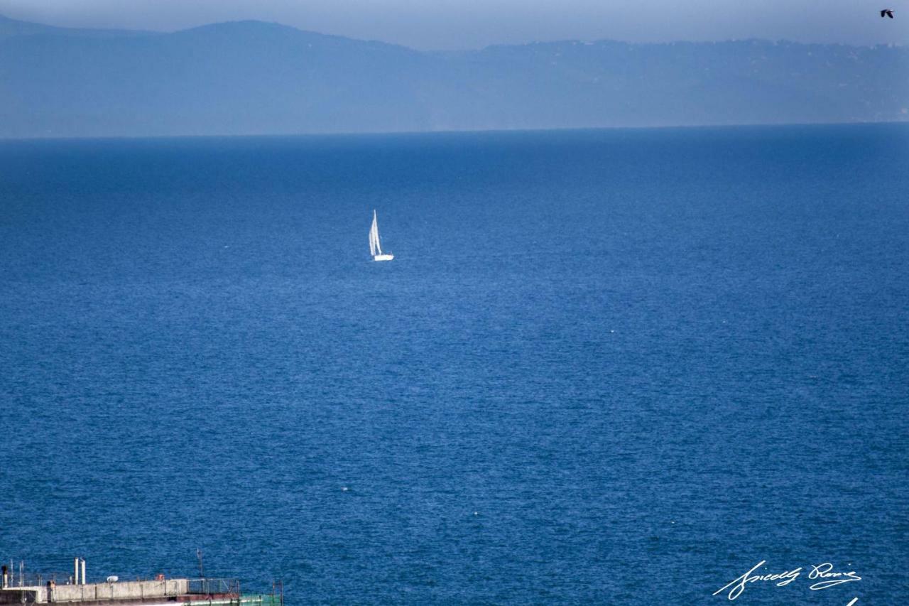 Le Ginestre Bed & Breakfast Salerno Exterior photo