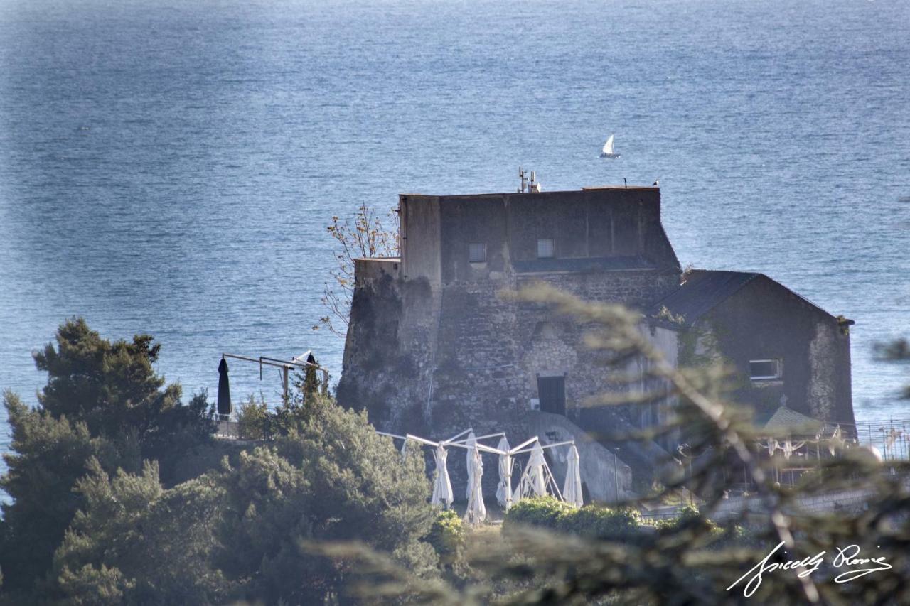 Le Ginestre Bed & Breakfast Salerno Exterior photo
