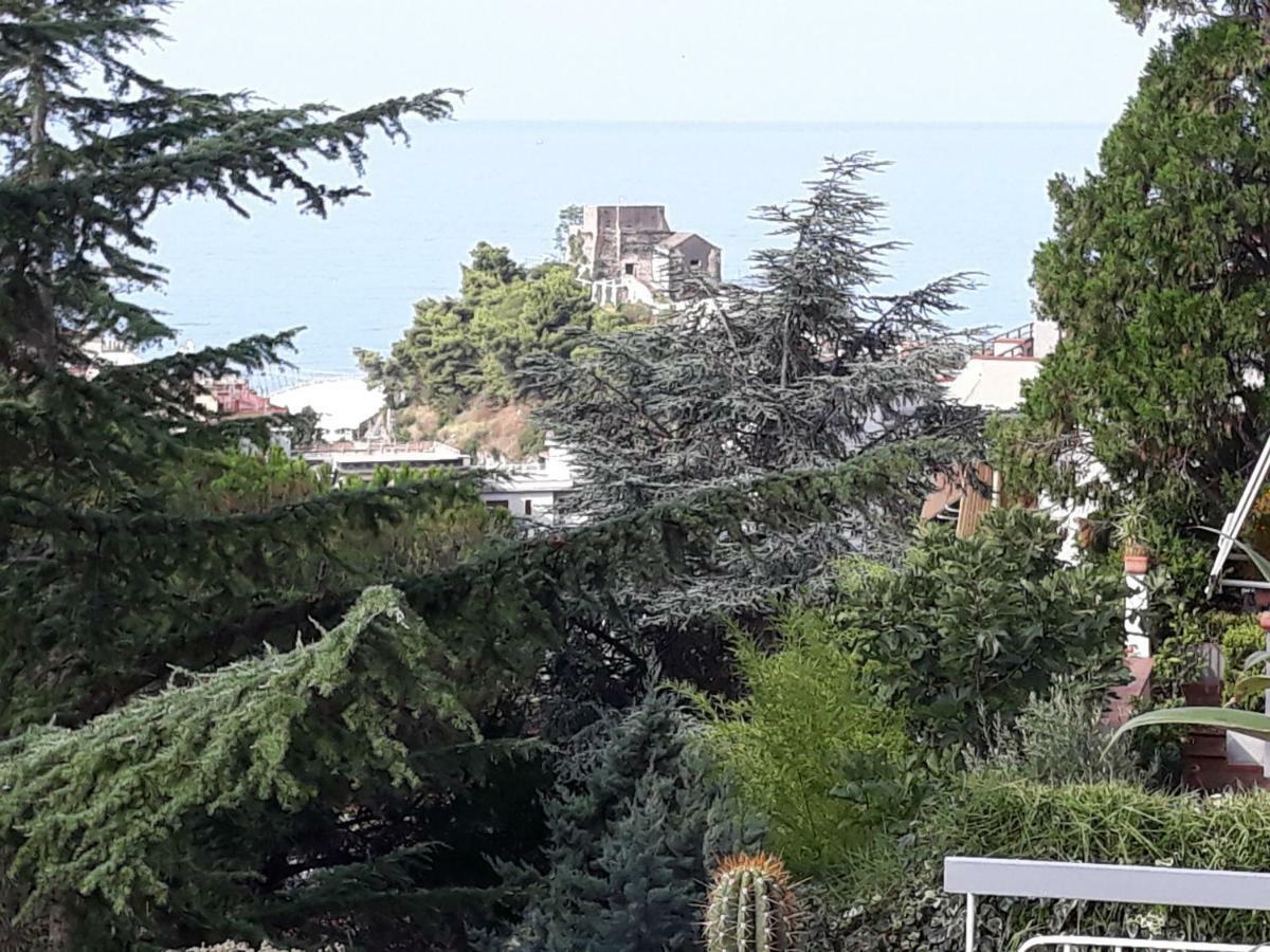 Le Ginestre Bed & Breakfast Salerno Exterior photo